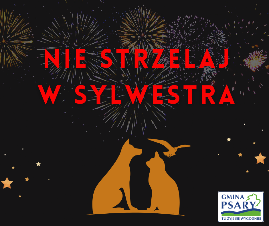 zdjęcie przedstawia grafikę