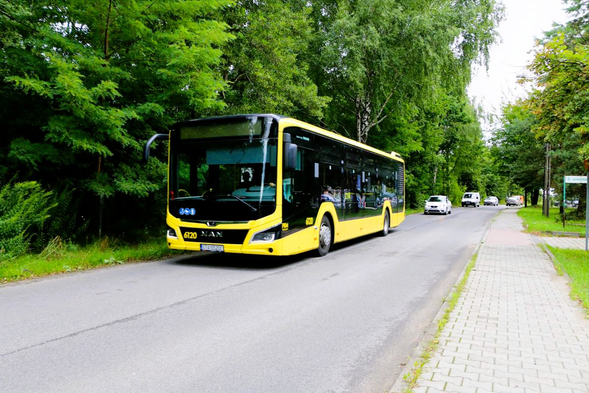 Zdjęcie przedstawia żółty autobus